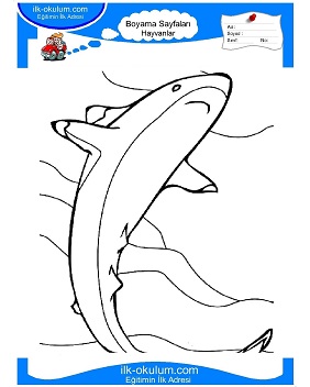 Çocuklar İçin Köpek Balığı Boyama Sayfaları 